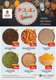 Nesto catalogue Page 13