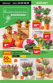 Biedronka gazetka Strona 16