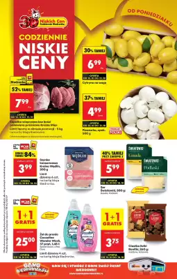 Biedronka gazetka
