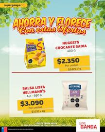 Catálogo Super Ganga Página 8