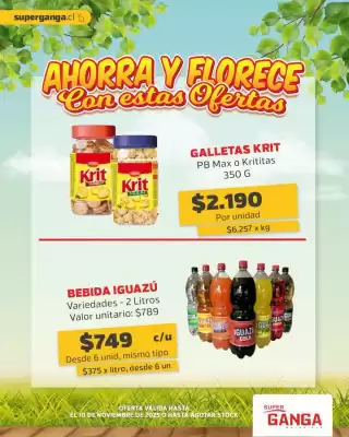 Catálogo Super Ganga (válido hasta 10-11)