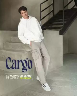 Catálogo Falabella