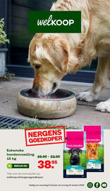 Welkoop folder week 42 Pagina 1