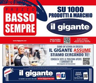 Volantino Il Gigante Pagina 46