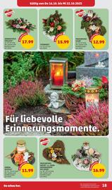 PENNY Flugblatt woche 42 Seite 18