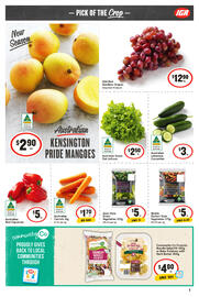 IGA catalogue week 42 Page 6