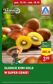 ALDI gazetka tydzień 42 Strona 1