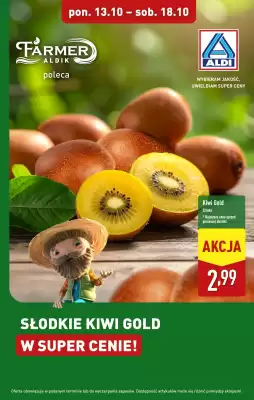 ALDI gazetka (ważność do 18-10)