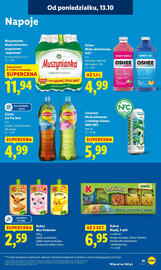 Lidl gazetka Strona 51
