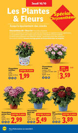 Catalogue Lidl semaine 42 page 36