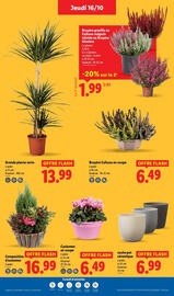 Catalogue Lidl semaine 42 page 37