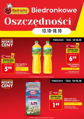 Biedronka gazetka (ważność do 18-10)