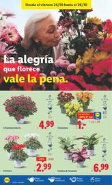 Catálogo Lidl semana 43 Página 40