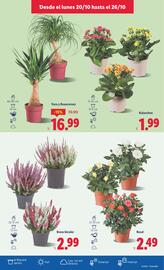 Catálogo Lidl semana 43 Página 41