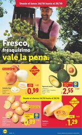 Catálogo Lidl semana 43 Página 8