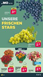 NETTO Prospekt woche 43 Seite 2