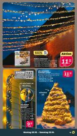 NETTO Prospekt woche 43 Seite 21