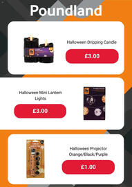 Poundland leaflet Page 5