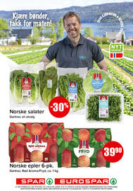 Eurospar kundeavis uke 42 Side 2