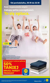 Lidl gazetka tydzień 43 Strona 13