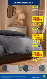 Lidl gazetka tydzień 43 Strona 15