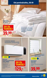Lidl gazetka tydzień 43 Strona 19