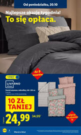 Lidl gazetka tydzień 43 Strona 2