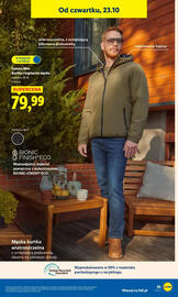 Lidl gazetka tydzień 43 Strona 39