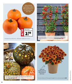 Intratuin folder week 42 Pagina 8
