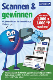 NP Discount Prospekt woche 42 Seite 13