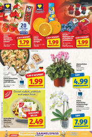 NP Discount Prospekt woche 42 Seite 2