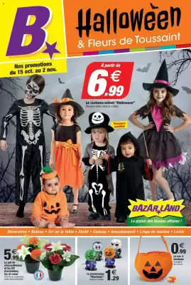 Catalogue Bazarland