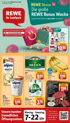REWE Kaufpark Prospekt (gültig bis 19-10)