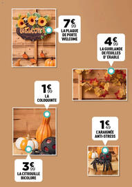 Catalogue Centrakor page 31