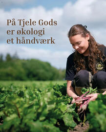Føtex tilbudsavis Side 14
