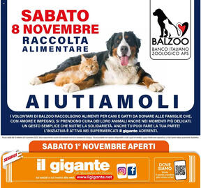 Volantino Il Gigante | Animali di casa Pagina 8