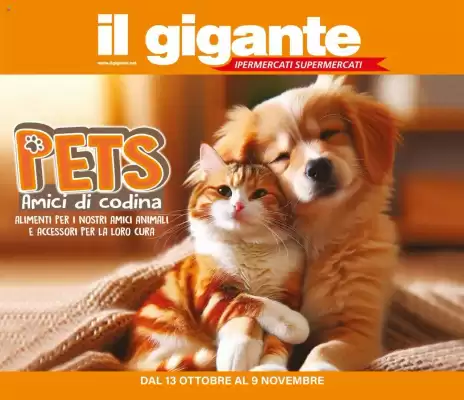 Volantino Il Gigante (valido fino al 9-11)
