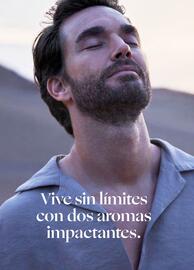 Catálogo Yanbal Página 118