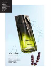 Catálogo Yanbal Página 120