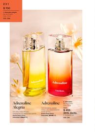 Catálogo Yanbal Página 42