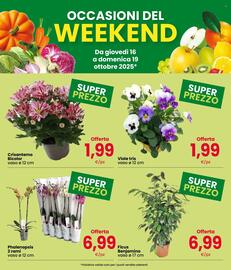 Volantino Despar | WEEKEND Pagina 4