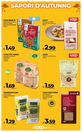 Volantino Ipercoop Radenza Pagina 11
