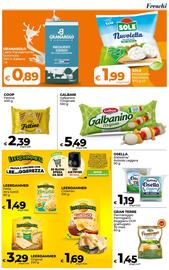 Volantino Ipercoop Radenza Pagina 13