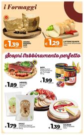 Volantino Ipercoop Radenza Pagina 16