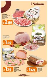 Volantino Ipercoop Radenza Pagina 19
