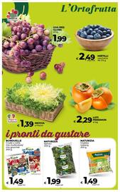 Volantino Ipercoop Radenza Pagina 22