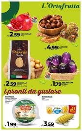 Volantino Ipercoop Radenza Pagina 23