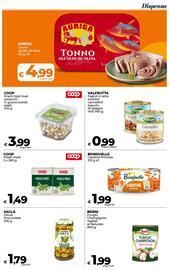 Volantino Ipercoop Radenza Pagina 30