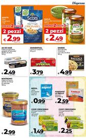 Volantino Ipercoop Radenza Pagina 31