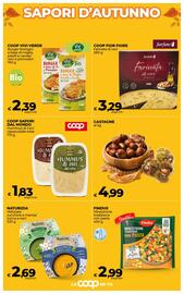 Volantino Ipercoop Radenza Pagina 9